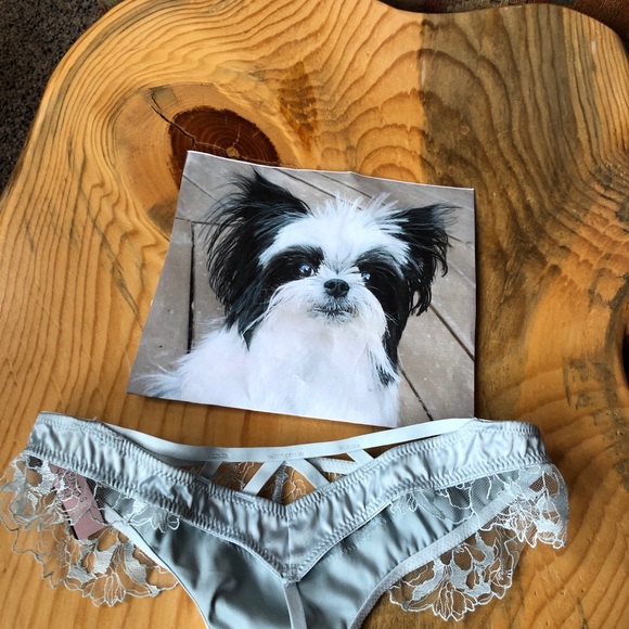 Victoria’s Secret Panties Thong Very Sexy Size XS NWT - Picture 3 of 7